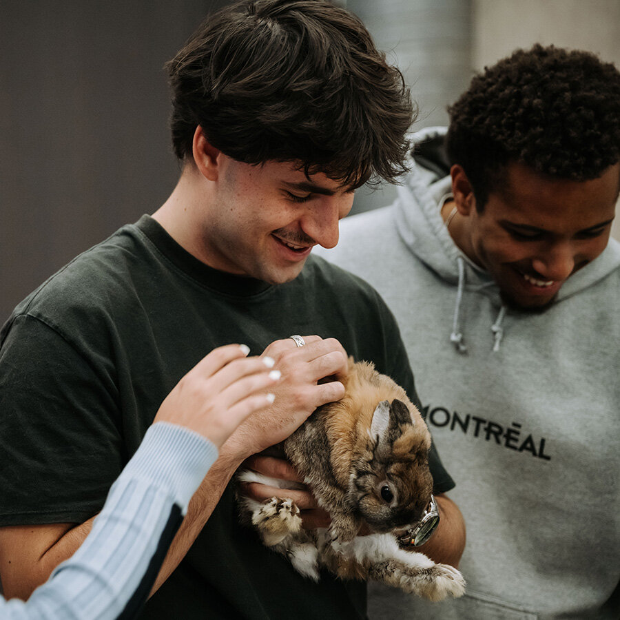 Communauté étudiante - Foire bien-être